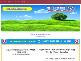 Việc làm Hải Phòng platform preview Việc làm Hải Phòng platform preview