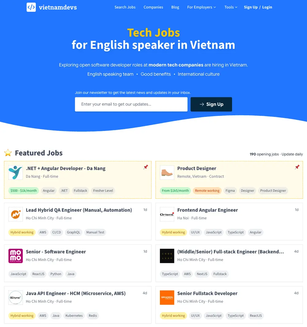 VietnamDevs job board platform screenshot showing job search interface