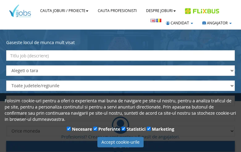ViJobs screenshot ViJobs job board platform screenshot showing job search interface