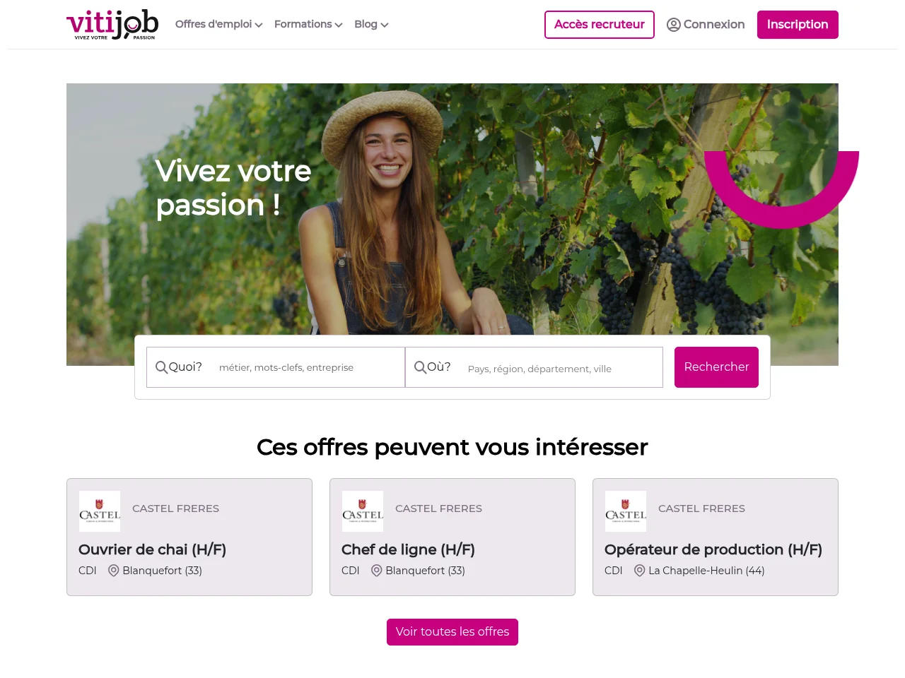 Vitijob job board platform screenshot showing job search interface