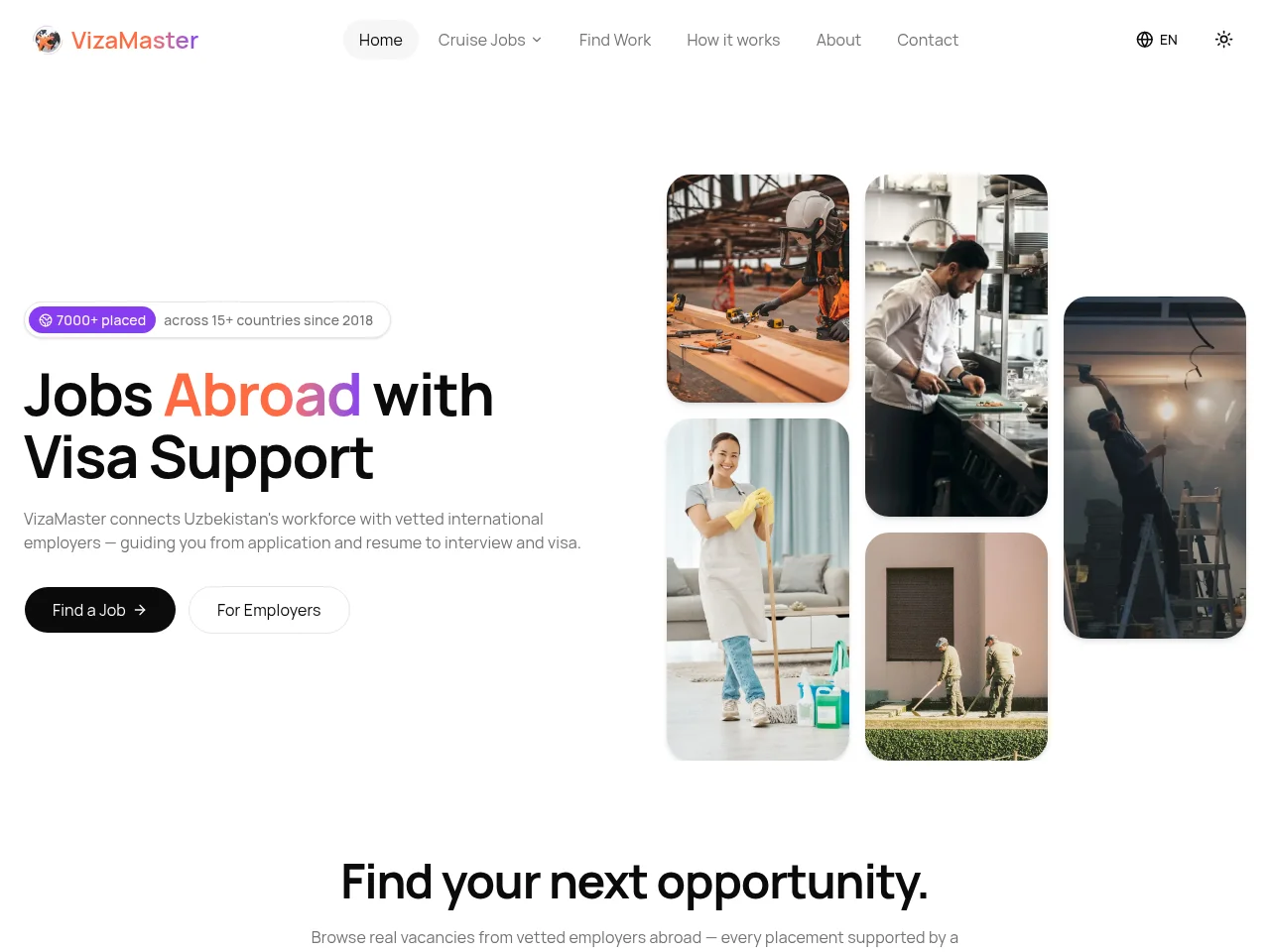 VizaMaster website screenshot