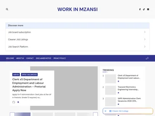 Work in Mzansi platform preview