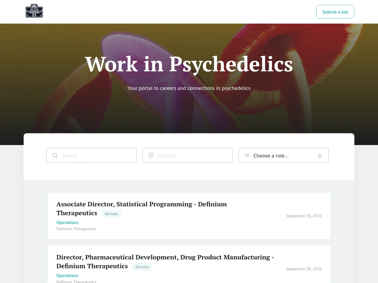 Work in Psychedelics screenshot Work in Psychedelics job board platform screenshot showing job search interface