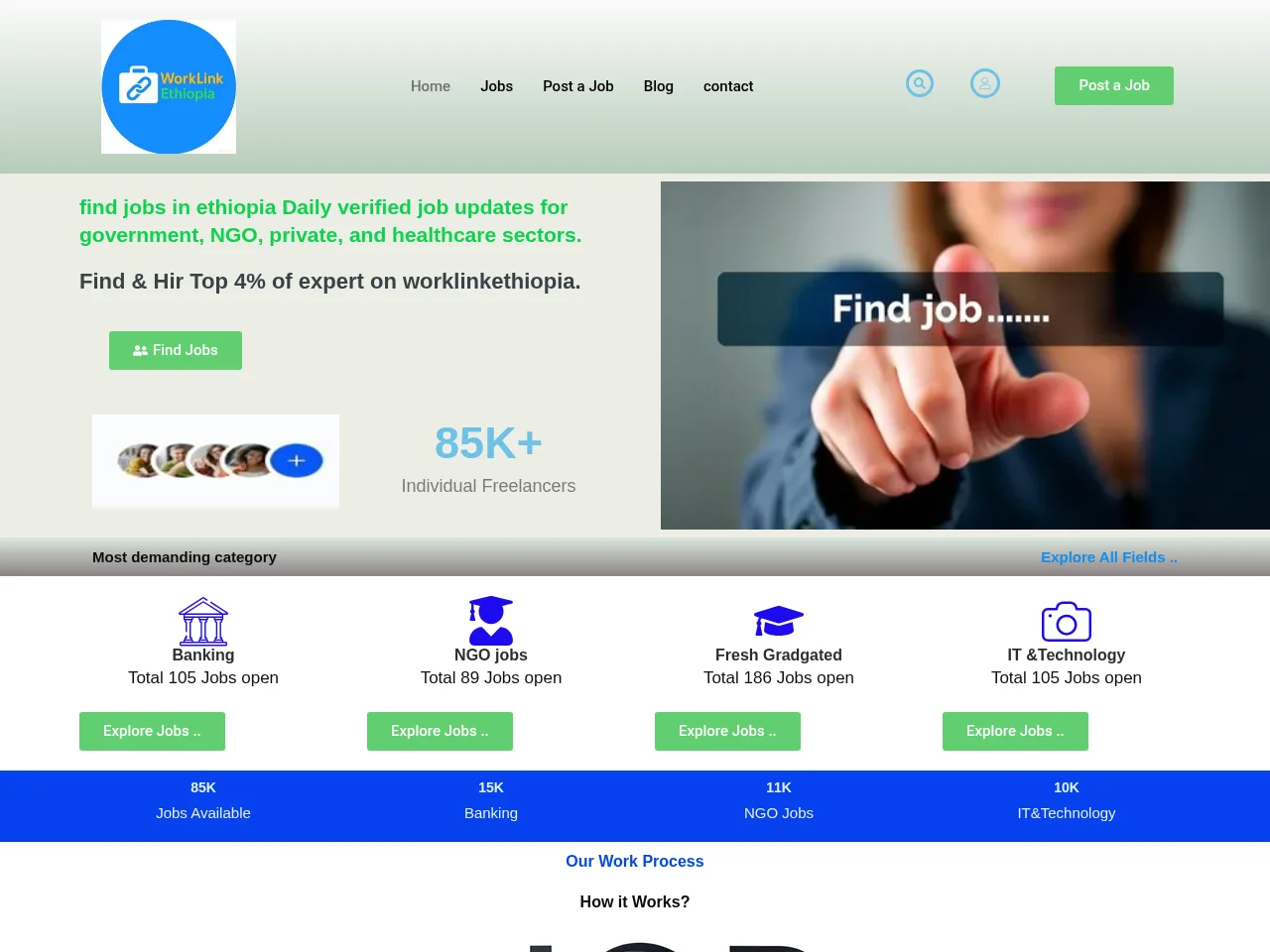 worklinkethiopia job board platform screenshot showing job search interface