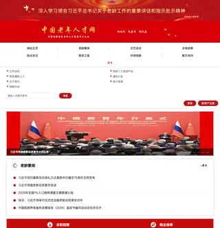 中国老年人才网 platform preview