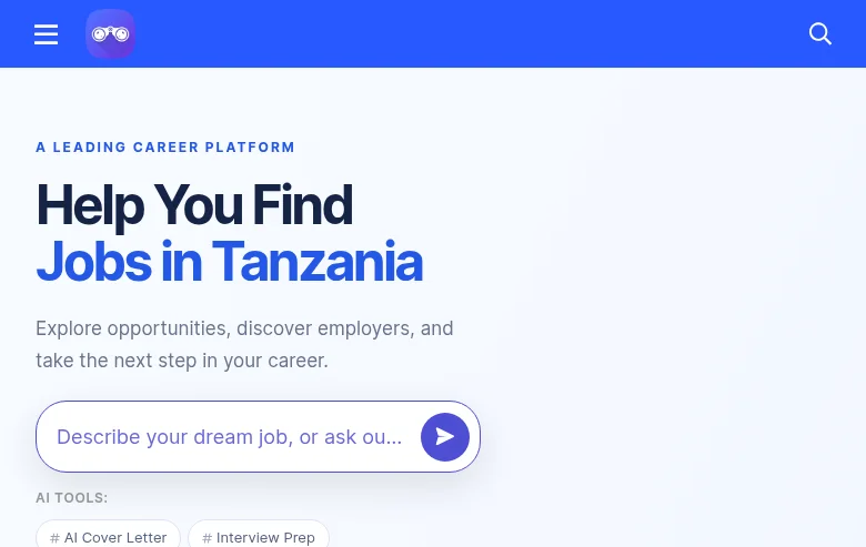 Zoom Tanzania screenshot Zoom Tanzania job board platform screenshot showing job search interface