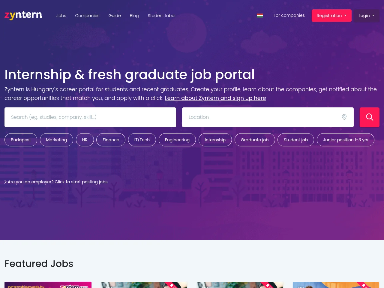 Zyntern job board platform screenshot showing job search interface